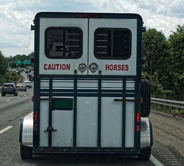 A well-lit photo of a clean two-horse float