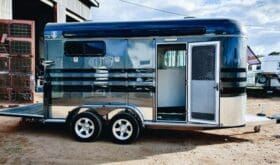 2025 Ironhorse 2HAL DELUXE/KITCHEN