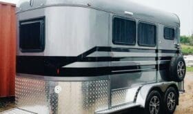 2025 Ironhorse 2HAL DELUXE/KITCHEN