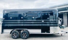 2025 Ironhorse 3 HAL – S